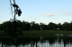 hanlon park, with cookie