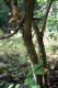 naturecenter.jpg