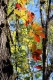 naturecenter_red.jpg