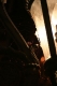 spider, spinning on converted gaslamp