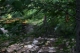 pretty bridge!