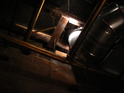 looking up from in there