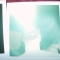 polaroid_mod_6.jpg