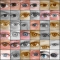 eyes