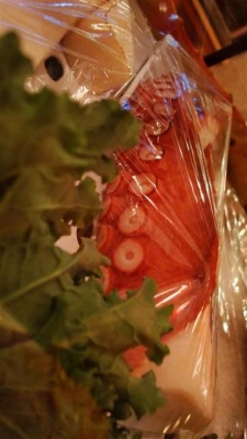 Edible! Tentacle!