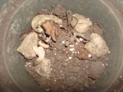 The results of Kristin's SABOTAGE.