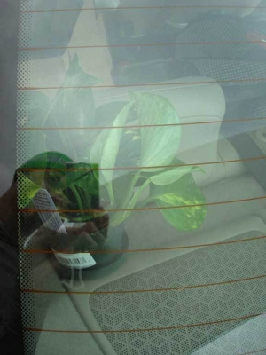 I've got an idea! Let's put him right under this window!