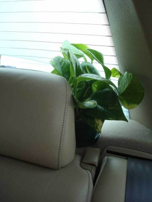 He seems safe and sound...