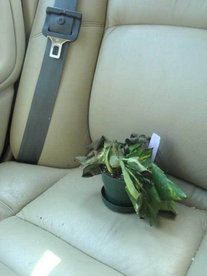 The damage caused by the sun. This is a warning to you sunbathers!