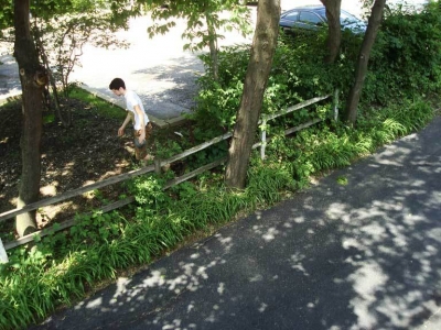 That's me retrieving rocks. They help drainage!