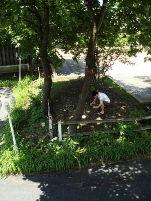 A good rock is hard to find.