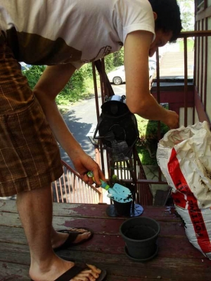 We got some fancy potting soil to help the plant recover.