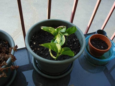 This is after it rained, I believe.