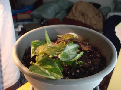 Another angle! Thrilling!