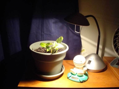 I took a lot of pictures for this task.  This is one of them.