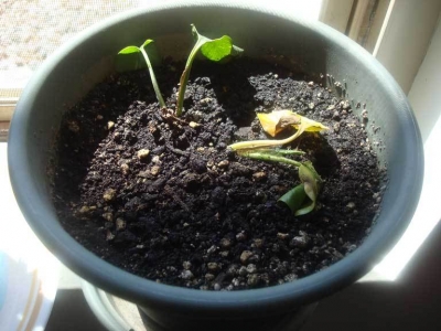 Not looking as good anymore.