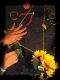 Kristin-Ikebana