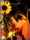 Pot, Flowers. Flowers, Pot.