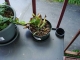 DSC03624.jpg