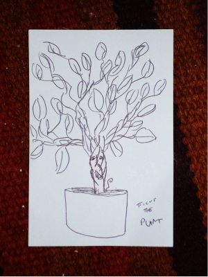 ficus.jpg