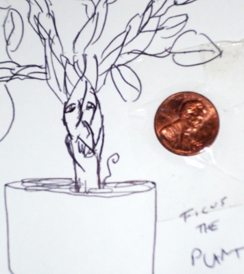 ficus adorned
