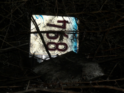 shiny item with arabic numerals