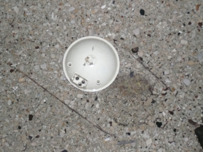 mysterious plastic item