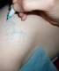 the outline