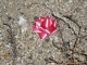 inorganic item