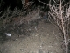 dig site