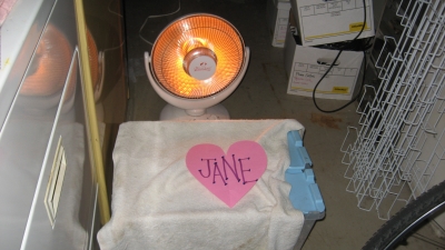 Jane, His Love Note, and His Heat Lamp Jane, His Love Note, and His Heat Lamp