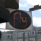 The Fly Bar