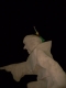 For a brief glimmer in time, I was the King of the World! For a brief glimmer in time, I was the King of the World!
