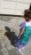 Just Me and My Shadow