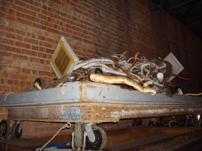 Team Andrew -- Wild Card