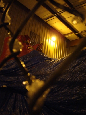 Team Andrew -- Wild Card 3