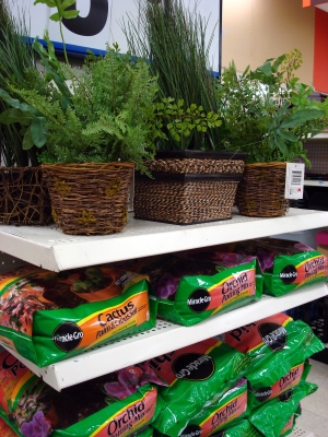 Fake Plants!