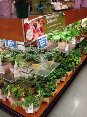 These plants are real