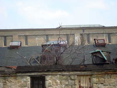 DSC01554.jpg
