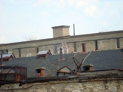 DSC01555.jpg
