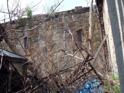 DSC01566.jpg