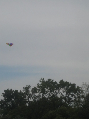 Up and up..