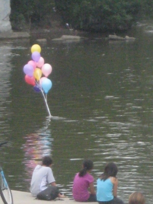 plum skimming the water