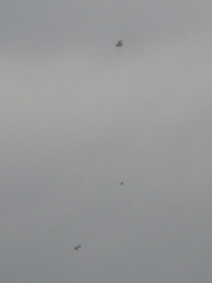 Just specks now..