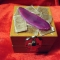 DSC00865.JPG