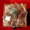 DSC00875.JPG