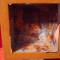 DSC00914.JPG