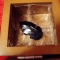 DSC00923.JPG