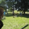 Game shots