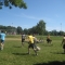 Game shots